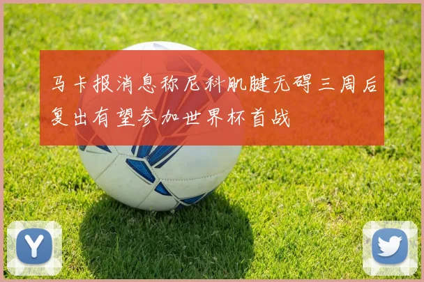 马卡报消息称尼科肌腱无碍三周后复出有望参加世界杯首战